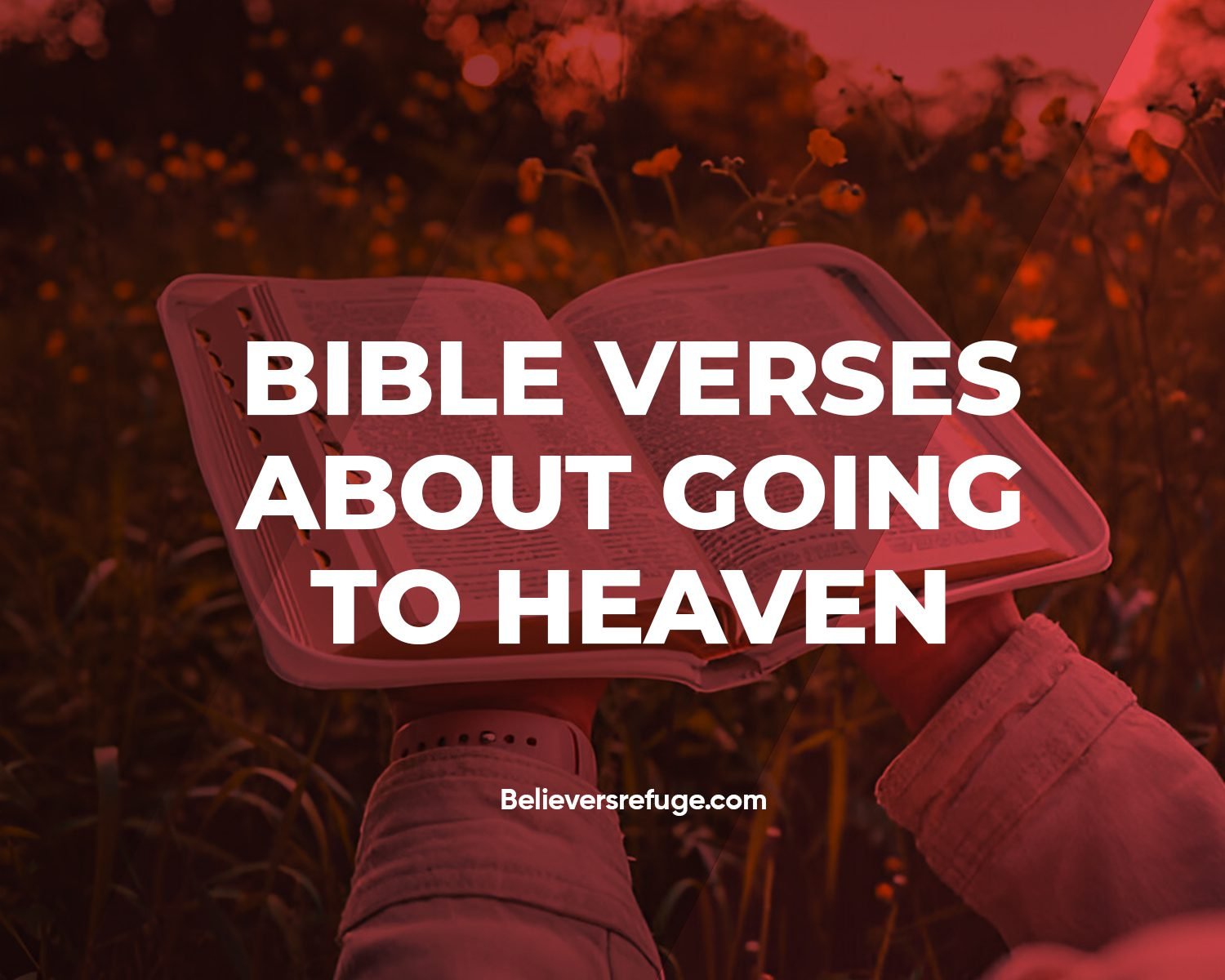 33 Bible Verses About Going to Heaven - Believers Refuge