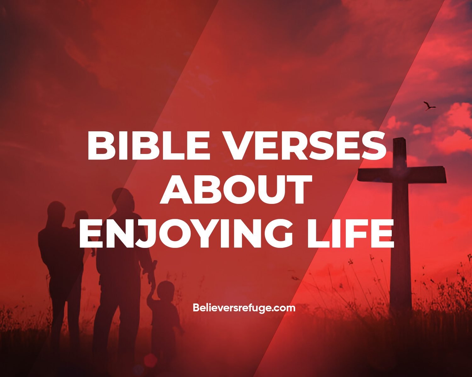 35 Bible Verses About Enjoying Life - Believers Refuge