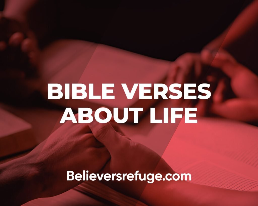 Bible Verses About Life