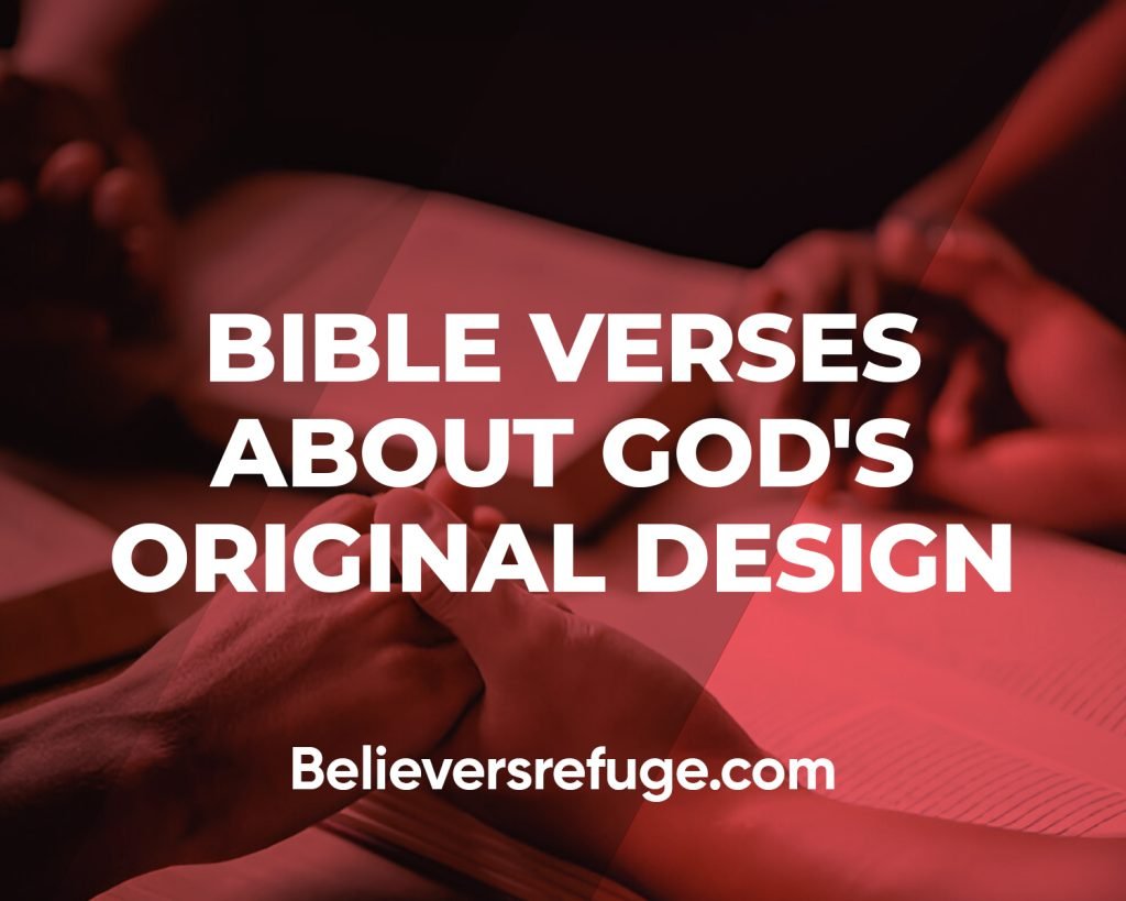 Bible Verses About God's Original Design