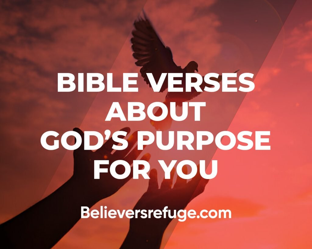 Bible Verses About God's Purpose For You