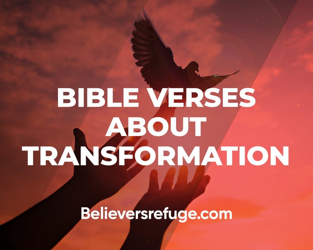 Bible Verses About Transformation