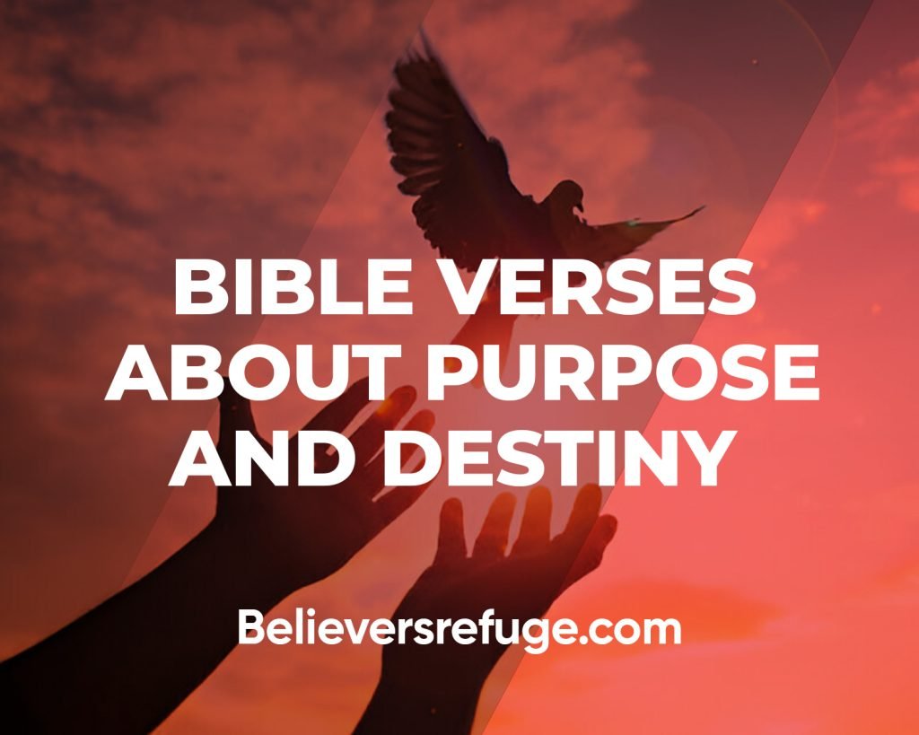 Bible Verses About Purpose And Destiny